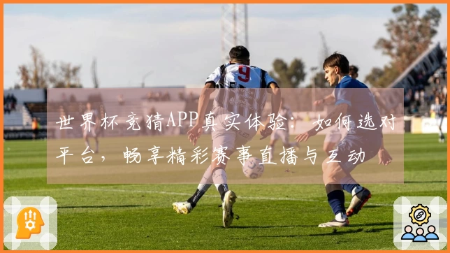 世界杯竞猜APP真实体验：如何选对平台，畅享精彩赛事直播与互动