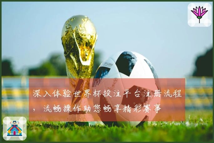深入体验世界杯投注平台注册流程，流畅操作助您畅享精彩赛事