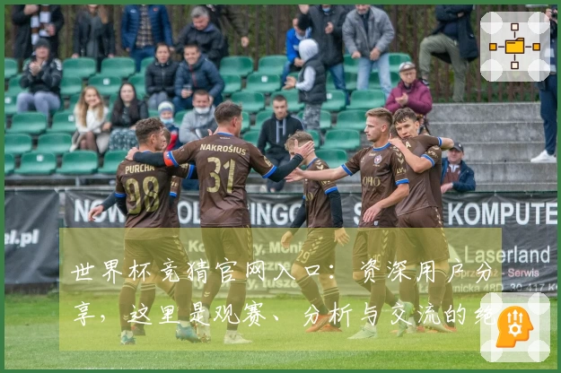 世界杯竞猜官网入口：资深用户分享，这里是观赛、分析与交流的绝佳之地