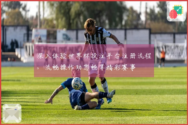 深入体验世界杯投注平台注册流程，流畅操作助您畅享精彩赛事