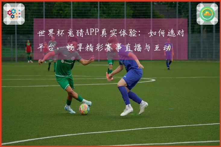 世界杯竞猜APP真实体验：如何选对平台，畅享精彩赛事直播与互动